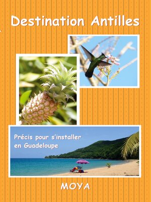 cover image of Destination Antilles